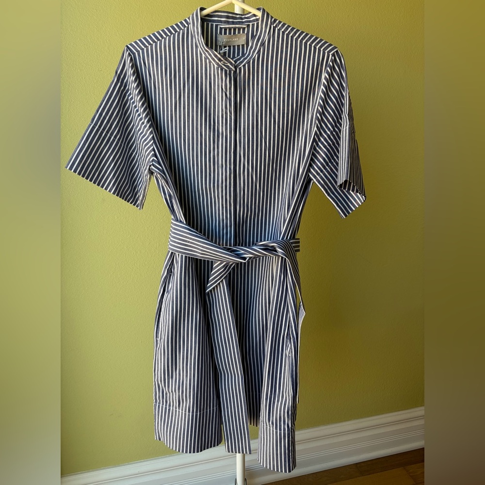 Everlane Striped Blue and White Shirt Dress